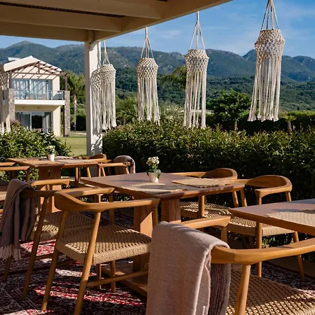 Restia (adults Only)