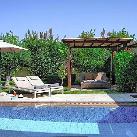 Restia (adults Only)