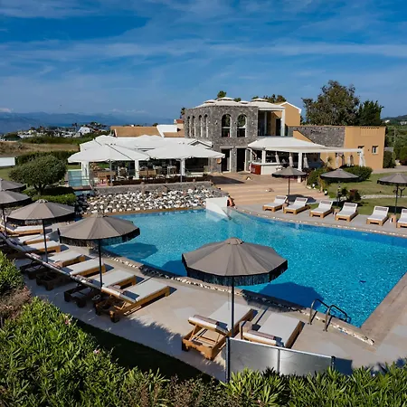 Restia (adults Only)